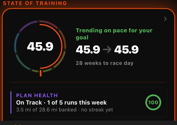 State of Training: VO2 MAX 45.9, trending on pace for the goal, 28 weeks to race day, plan health on track